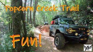 Overlanding Georgia  Amazing Popcorn Creek Trail  Clayton GA  Near Georgia Traverse