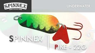 Spinnex  Pike 22g - Underwater Lure Action
