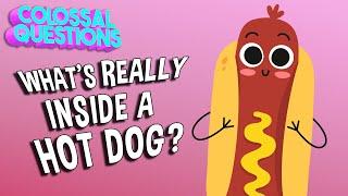 What’s REALLY Inside a Hot Dog?  COLOSSAL QUESTIONS