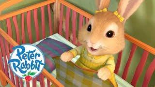 Peter Rabbit - Little Rabbit Bedtime Stories  Cartoons for Kids