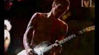 Red Hot Chili Peppers - Easily Live