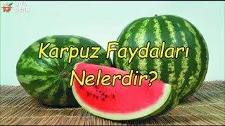 Karpuz Faydaları Nelerdir