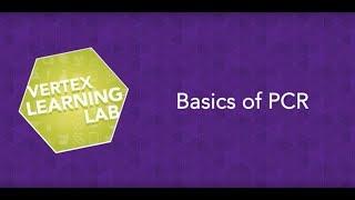 Learning Lab Basics of PCR  Vertex Pharmaceuticals