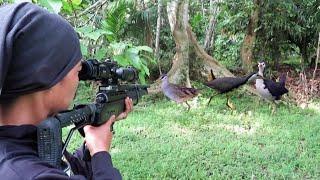 BERBURU BURUNG RUAK RUAK  TERNYATA DIANYA NEKAT