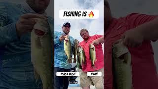 Fishing is on FIRE Rappahannock River Bass Limit. 4th of July Weekend #fishing #bassfishing