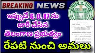Telangana Employees latest News G. O. 87 issued just now
