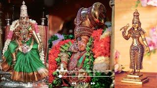 Meenakshi amman whatsapp statuspallakku kuthiraiyile Pavani Varun Meenakshi song#ammanstatustamil