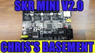 Big Tree Tech SKR Mini E3  V2.0 - Silent Main Board - Install - Chriss Basement