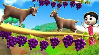 बकरी और अंगूर का पेड़ - Goat  and Grapes  Tree  Hindi Kahaniya Comedy Hindi Moral Stories JOJO TV