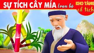 SỰ TÍCH CÂY MÍA Trọn Bộ  Kho Tàng Phim Cổ Tích 3D  Cổ Tích Việt Nam Mới Nhất  THVL Hoạt Hình