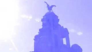 The Liver Birds