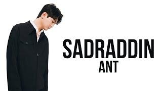 SADRADDIN - ANT  Популярный хит 2023  Текст песни