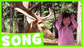 Forest Dance Song  Simple Animal Song for Kids