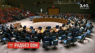 Рада безпеки ООН відмовились розглядати закон про українську мову