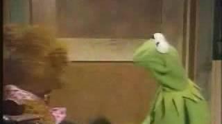 Muppet show gags - fozzie and kermit