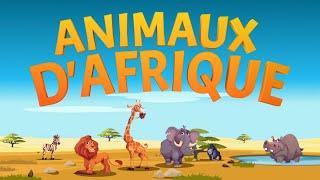 Faits sur les animaux africains  Apprendre les animaux pour les enfants  Vidéos éducatives