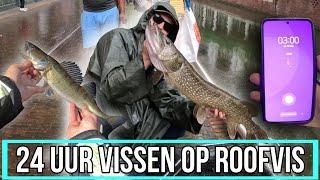 24 UUR VISSEN OP SNOEK SNOEKBAARS EN BAARS Poging 1