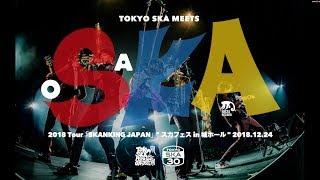 『2018 Tour「SKANKING JAPAN」 スカフェス in 城ホール 2018.12.24』 ダイジェスト映像東京スカパラダイスオーケストラ