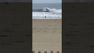 Tropical Storm Debby Swell in New Jersey  #shorts #surfing #surf #tropical cyclone #surfingwaves