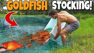 Dumping TONS Of GOLDFISH Into My BACKYARD POND