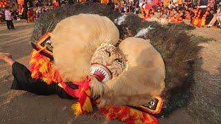 HEBAT BANGET ‼️ ATRAKSI GULUNG 11 PEMBARONG KONDANG REOG PONOROGO BIKIN GEMPAR