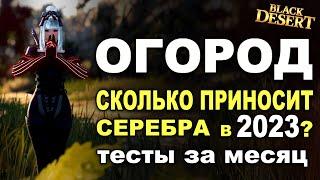 ОГОРОД в 2023. Сколько серебра за месяц нафармила в БДО BDO - Black Desert