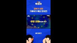 생선 가시도 씹어 먹게 생긴 한국  비디오머그  귀에빡종원 #shorts