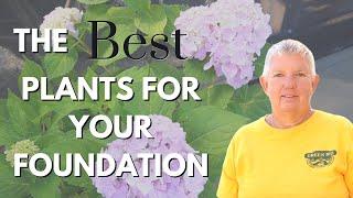 The Best Plants for Your Foundation