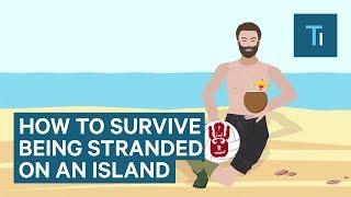 How To Survive If You Get Stranded On An Island