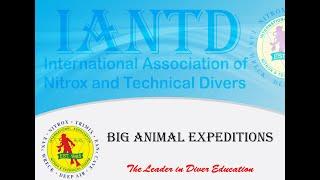 Expedition Big Animal Liveaboards and Productions.