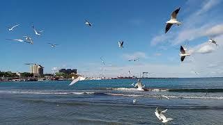 #Анапа ул. Астраханская Центральный пляж Море  