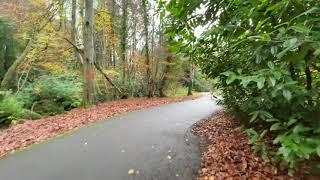 4KAutumn Walk in Belfast Northern Ireland ASMR