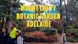 MOUNT LOFTY BOTANIC GARDEN  ADELAIDE