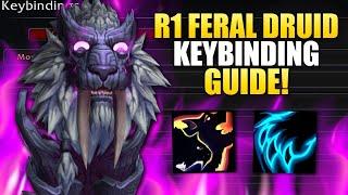 Rank 1 Feral Druid War Within Keybinding Guide