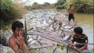 wow Amazing Fishing weird​​​​​ in the cambodia part146