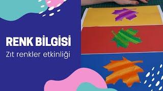 RENK BİLGİSİ  ZIT RENKLER ETKİNLİĞİ