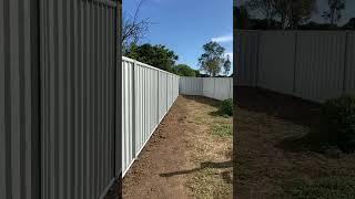 Walking the inside perimeter of the newly erected rescue enclosure fence no talking