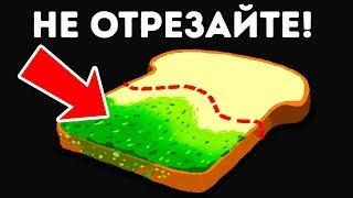 Что Произойдет Если вы Съедите Хлеб Покрытый Плесенью?