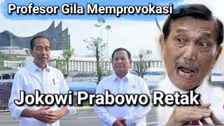 LUHUT TERHARU MENITIKAN AIR MATA RAPAT KABINET PARIPURNA TERAKHIR DG JOKOWI DAN PROBOWO DI IKN