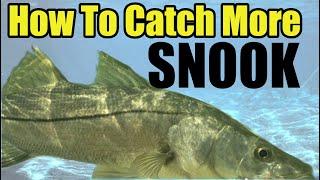 Catch MORE Snook Guaranteed Florida Saltwater Fishing Tips For Catching Snook During The Day