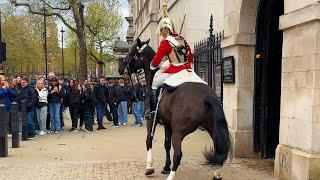 SPOOKED HORSE Kings Guard screams at public to get to safety