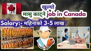 canada working visa for nepali 2024  canada working visa kasari apply garne  canada kasari jane