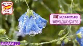 172. НЕлогичные предлоги. Ссылка на Список глаголов с предлогами - в описании под видео.