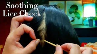 ASMR Soothing Lice Check With Soft Whisper 