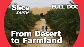 United Arab Emirates Quenching the Thirst of Liwa  SLICE EARTH  FULL DOC