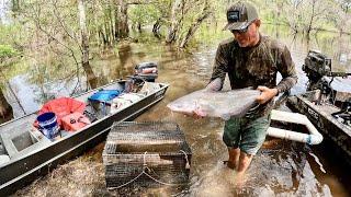 Hundreds of Pounds of Catfish in 2 Nights Catch Clean & Cook