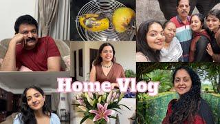 Home Vlog  Sindhu Krishna