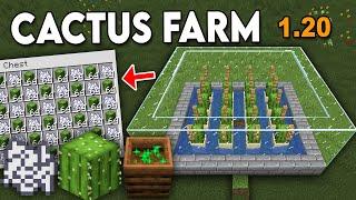 Minecraft Cactus Farm   Survival Minecraft  Easy bone meal and cactus