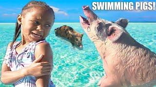 Girl SWIMS WITH PIGS In THE BAHAMAS She Lives To REGRET IT  THE BEAST FAMILY