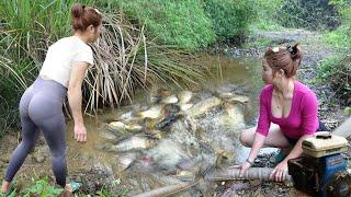 Full Video Survival skill - How to catch fish with a pump Catch a lot of fish Sell fish at market